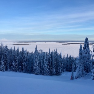 koli1901.jpeg